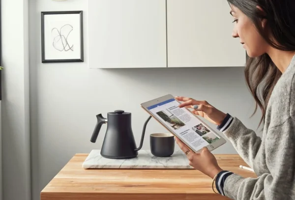 Office 2024 Home and Business for macOS - tablet compatibility